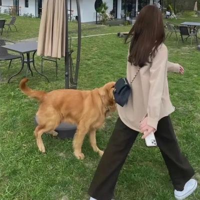 约会的敌人